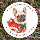 Search for french bulldog puppy stickers Cute