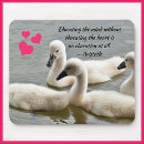 Search for ducklings electronics Nature