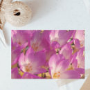 Recherche de pnk Floral