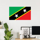 Search for kittes posters Flag