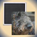Recherche de races photographie Chien