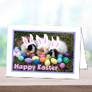 Search for easter pig Rodent