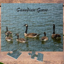 Search for geese puzzles Lake