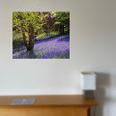 Search for bluebell art Landscape