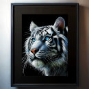 Search for tiger drawing posters Colourful