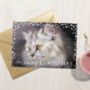 Recherche de cat holiday cards Vacances heureuses