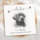 Search for black labrador retriever napkins Modern