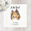 Recherche de border collie serviettes Animal de compagnie