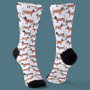 Search for sausage socks Dachshund
