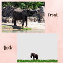 Recherche de pachyderme Faune