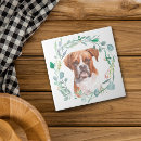 Recherche de boxer carreaux Dog