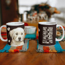 Recherche de chiot labrador tasses Chien mignon