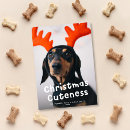Search for white dog christmas cards Cute