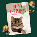 Search for kitty christmas cards Cute