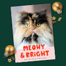 Search for funny cat christmas cards Meowy