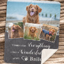 Search for everything decorating Photo collage