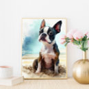 Recherche de boston terriers posters Pour tous