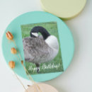 Search for canada goose cards Animal
