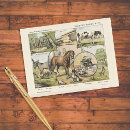 Recherche de décor cheval cartes postales Animaux de ferme