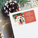 Search for dog labels Modern
