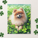 Recherche de pomeranian puzzles Dog