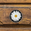 Recherche de marguerite blanche boutons et poignées de porte Botanique