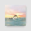 Search for creatures pet supplies Ocean