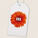 Search for daisy flower gift tags Gerbera