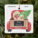 Search for yellow lab ornaments Puppy