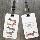 Search for dachshund travel accessories Dog