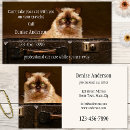 Recherche de minous cartes visite Amoureux des chats