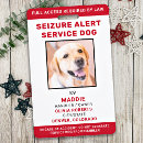Recherche de saisies Pour tous