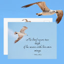 Recherche de oiseaux en vol cartes postales Mouettes