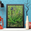 Search for iris garden posters Van gogh
