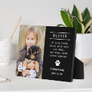 Recherche de canid Dogs