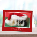 Search for pig christmas cards Cute