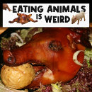 Search for food bumper stickers Pig