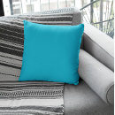 Search for cyan pillows Plain