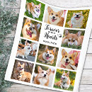 Search for in loving memory blankets Sympathy