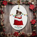 Search for border collie puppy ornaments Animal