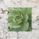 Search for chick tiles Floral