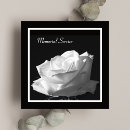 Search for white rose funeral invitations Flowers