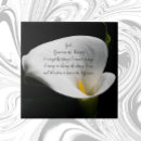 Search for arum Calla lily