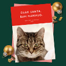 Search for dear santa cards Cute
