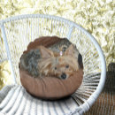 Recherche de portrait animal coussins Chiot mignon