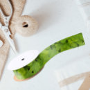 Recherche de plantes vertes rubans Botanique