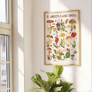 Recherche de de biologie posters Plantes