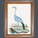 Search for audubon crane posters Nature