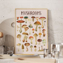 Recherche de biologie posters Floral