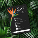Search for bird rsvp invitations Bird of paradise